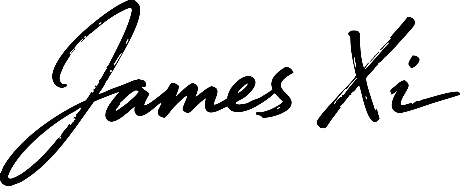 James Xi signature