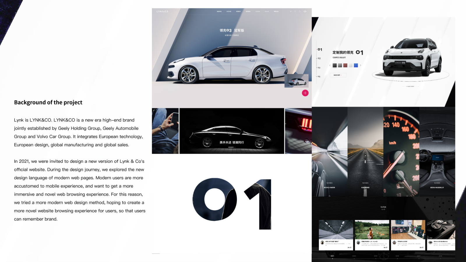 Lynkweb 03