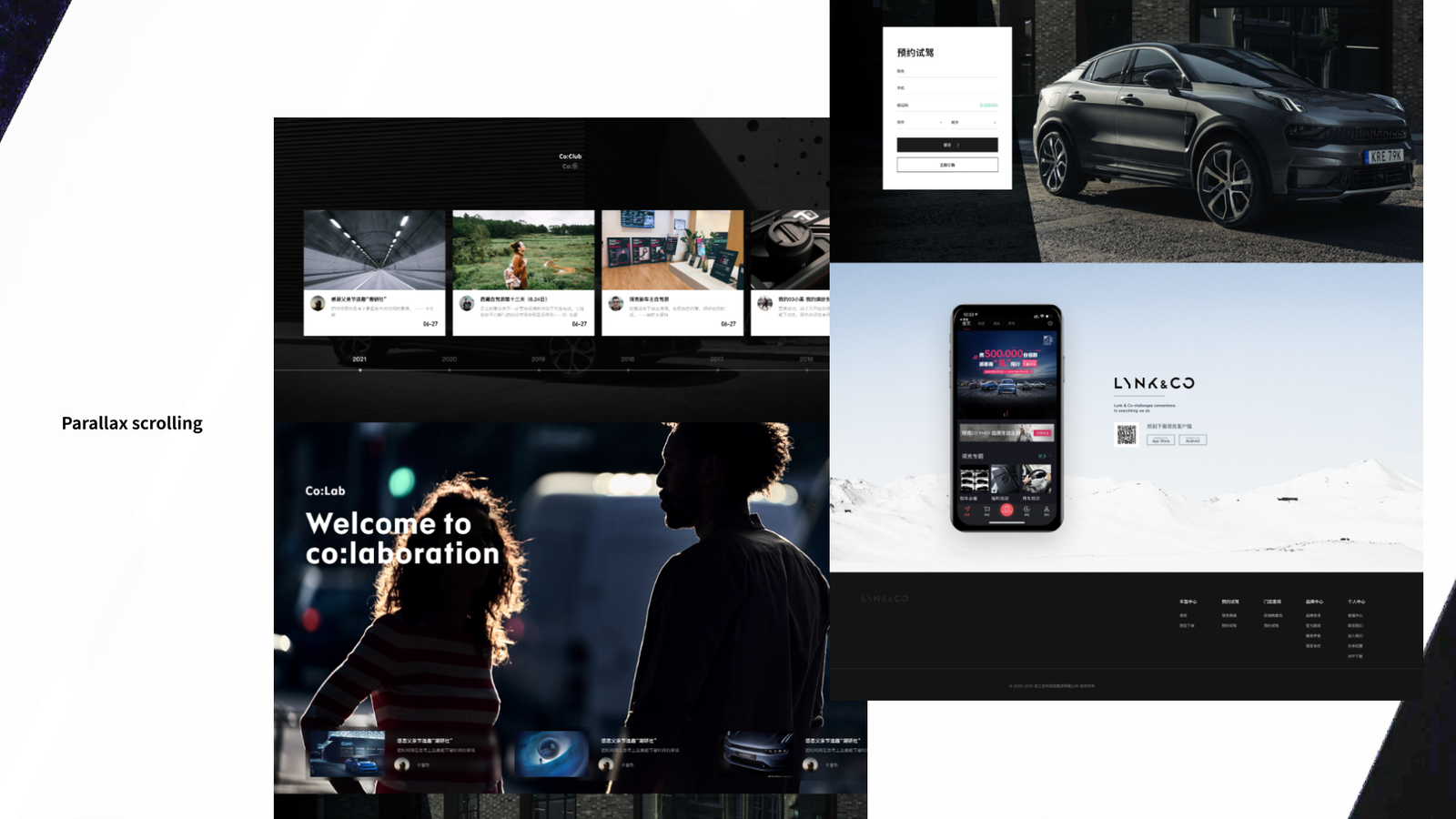 Lynkweb 04